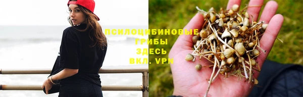 крисы Армянск