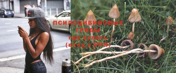 мескалин Аркадак