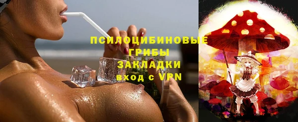крисы Армянск