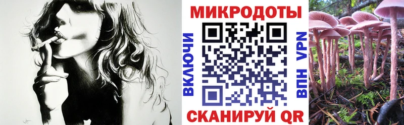 продажа наркотиков  Усть-Джегута  Галлюциногенные грибы Psilocybe 